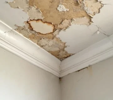 Signs of Ceiling Water Damage 360x320