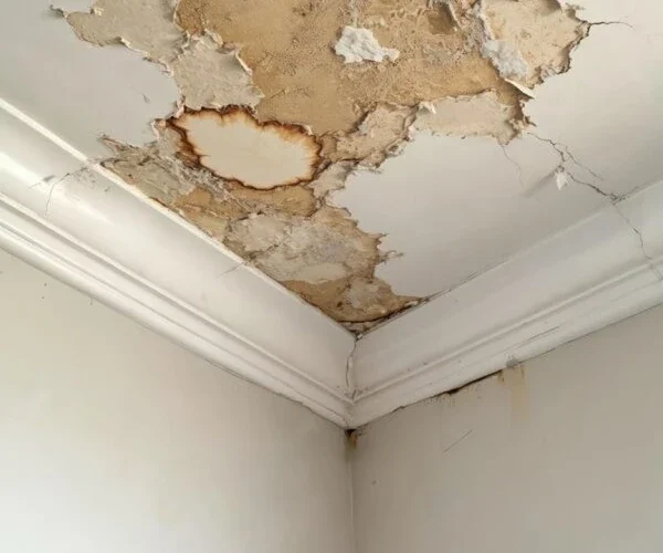 Signs of Ceiling Water Damage