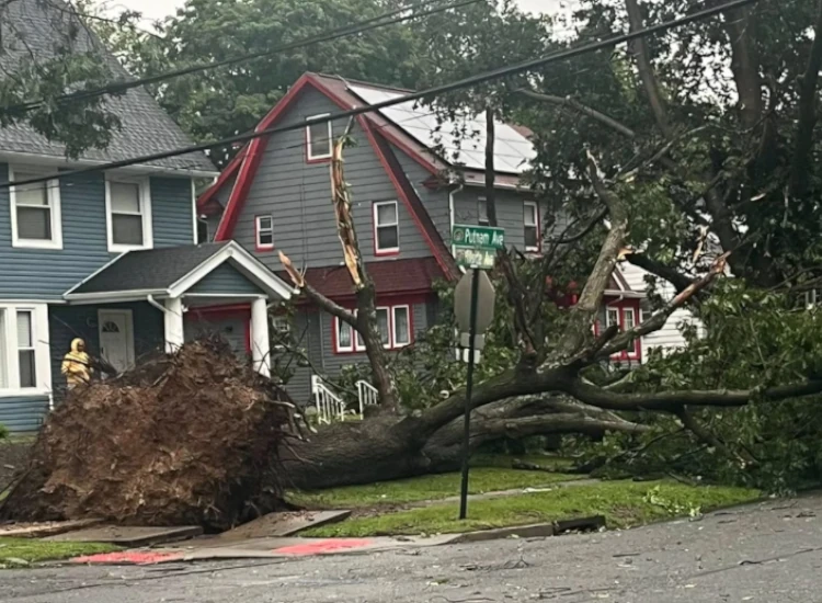Storm3